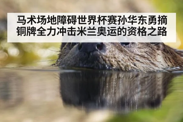 马术场地障碍世界杯赛孙华东勇摘铜牌全力冲击米兰奥运的资格之路
